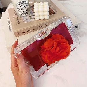 Charlotte Olympia Transparent Acrylic Clutch Bag